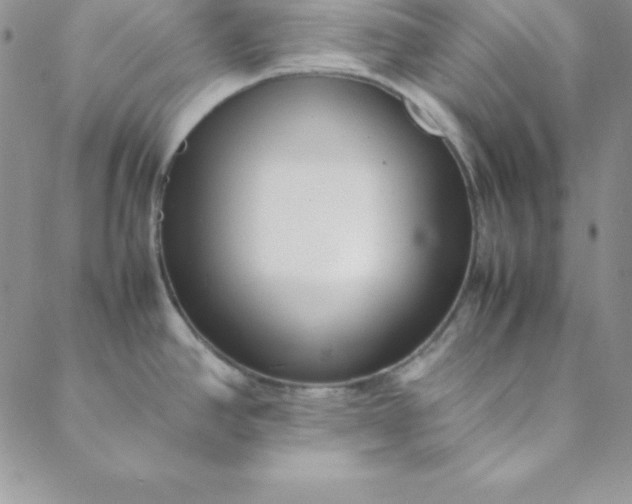 X0000088661390200706081652