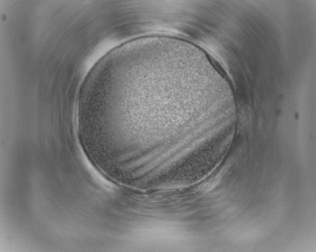 X0000088661391200706081651