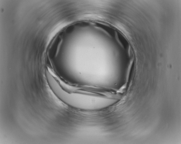 X0000088661392200706081651