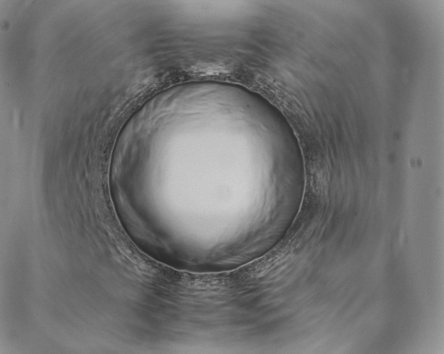 X0000088661393200706081651