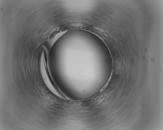 X0000088661394200706081651