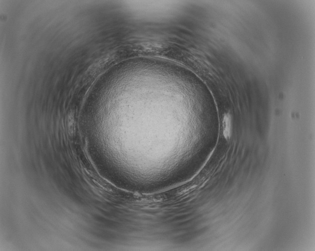 X0000088661395200706081651