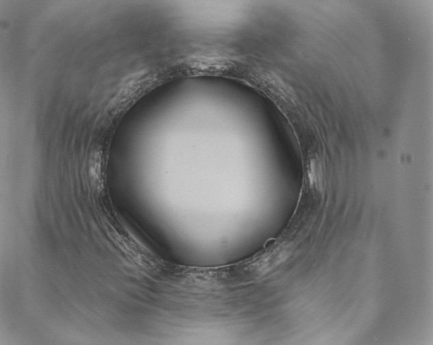 X0000088661396200706081651