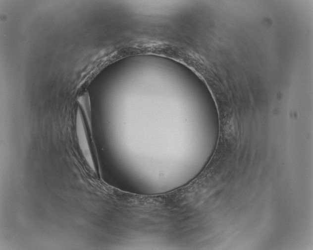 X0000088661397200706081651