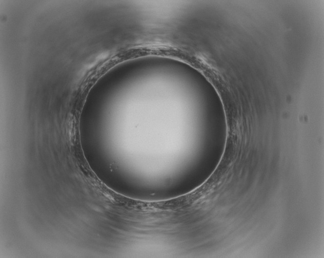 X0000088661398200706081651