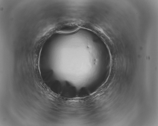 X0000088661399200706081651