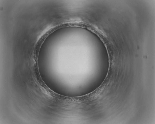 X0000088661400200706081651