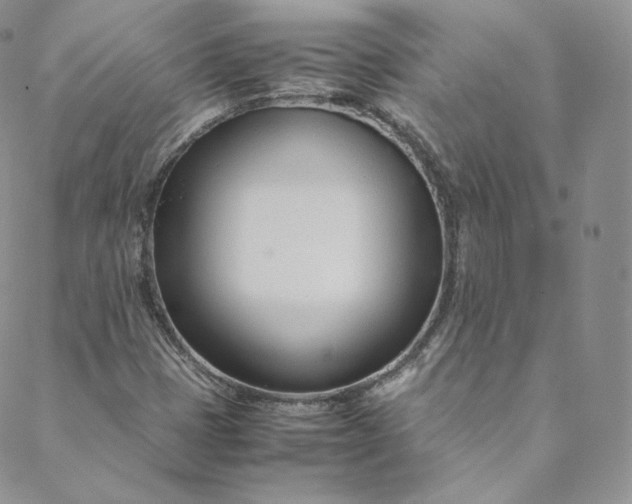 X0000088661401200706081651