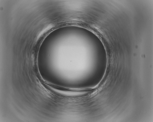 X0000088661402200706081651