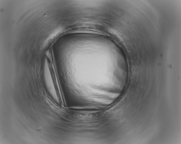 X0000088661403200706081651