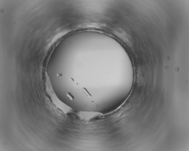 X0000088661404200706081651