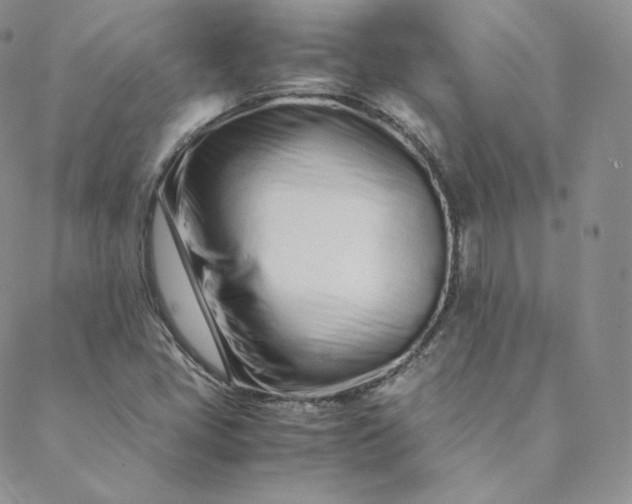 X0000088661405200706081651