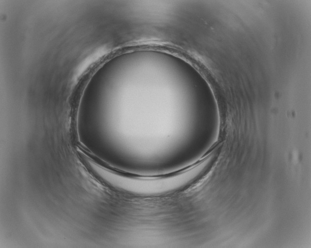 X0000088661406200706081651