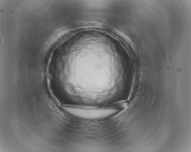 X0000088661407200706081651