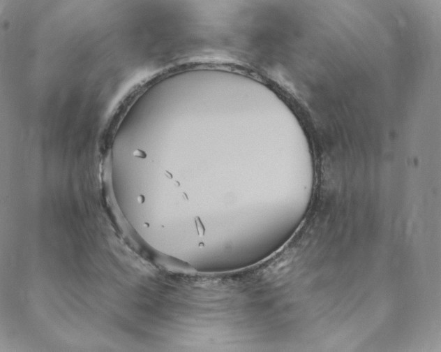 X0000088661408200706081651