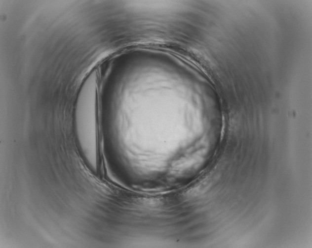 X0000088661409200706081651