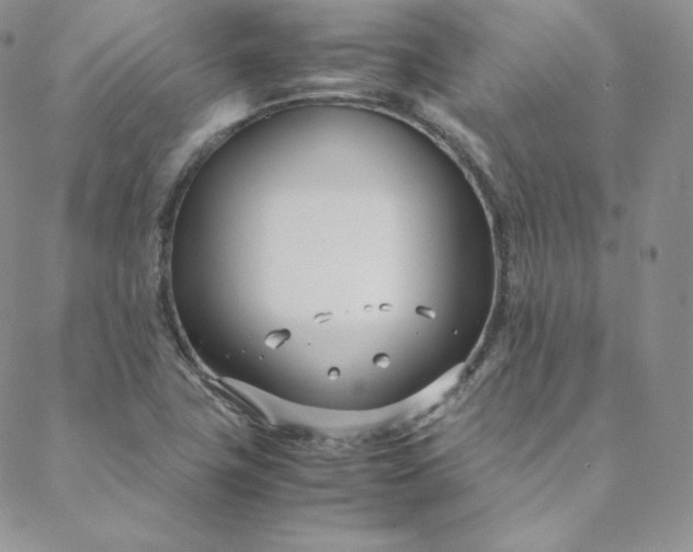 X0000088661411200706081651