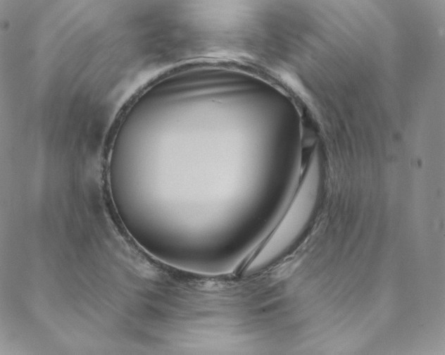 X0000088661412200706081651