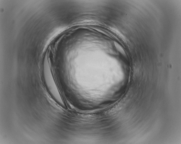 X0000088661413200706081651