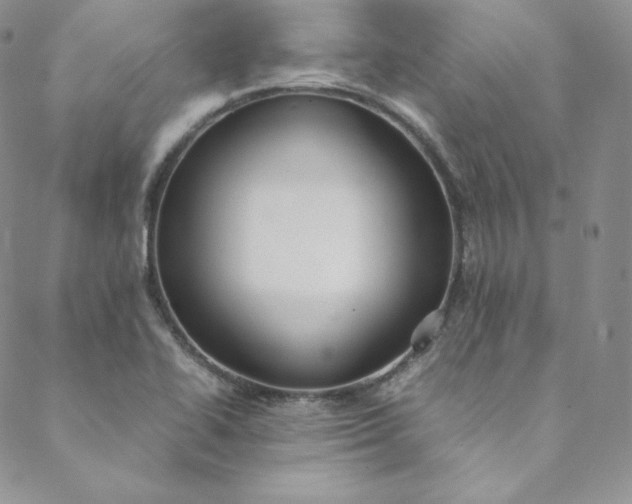 X0000088661414200706081651