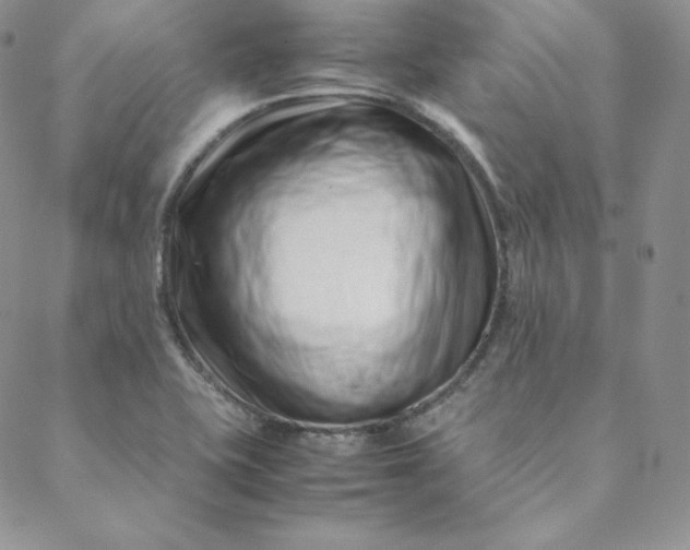 X0000088661415200706081651