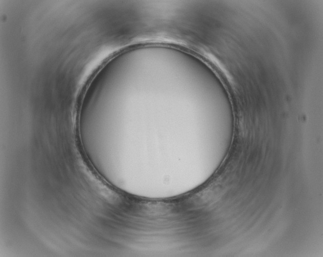 X0000088661416200706081651