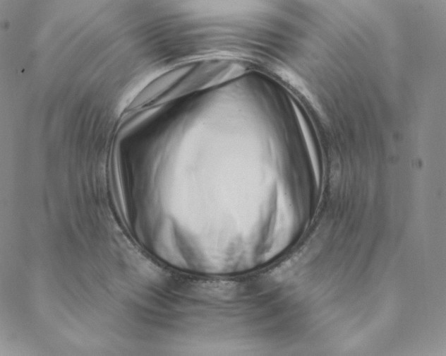 X0000088661417200706081651