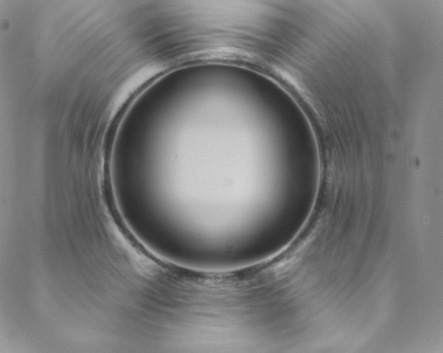 X0000088661418200706081651