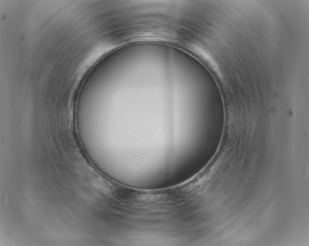 X0000088661419200706081651