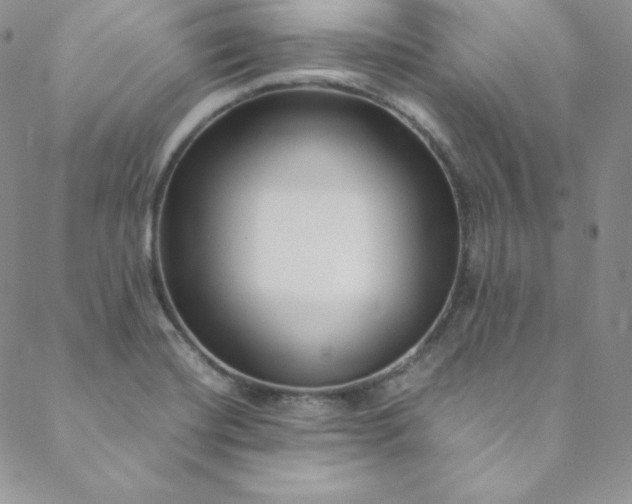 X0000088661420200706081651