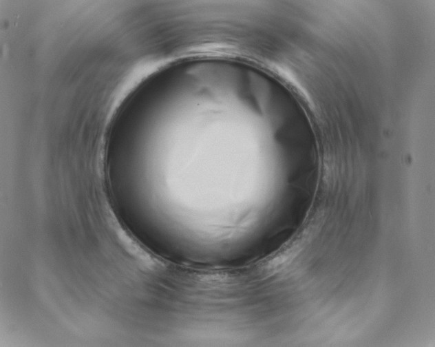 X0000088661421200706081651