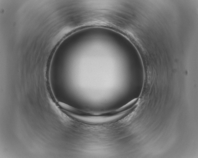 X0000088661422200706081651