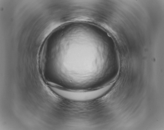 X0000088661423200706081651