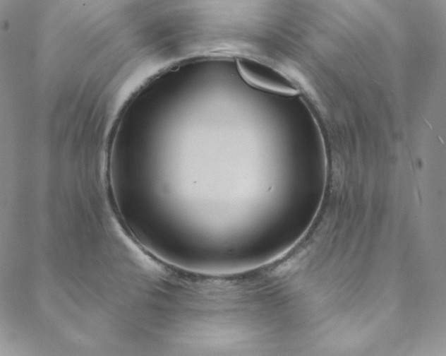 X0000088661424200706081651