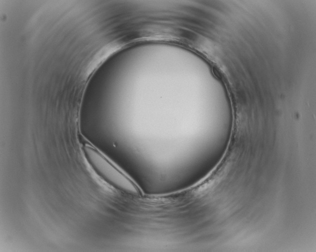 X0000088661425200706081651