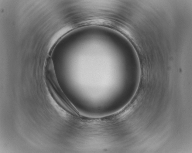 X0000088661426200706081651