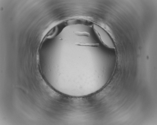 X0000088661428200706081651