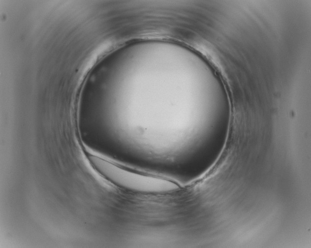 X0000088661429200706081651