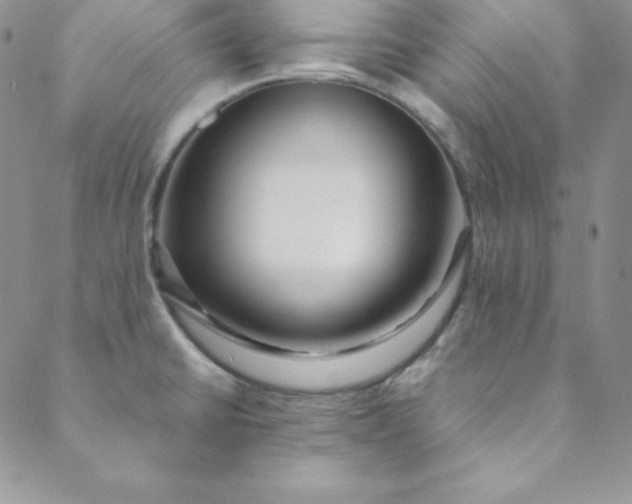 X0000088661430200706081651