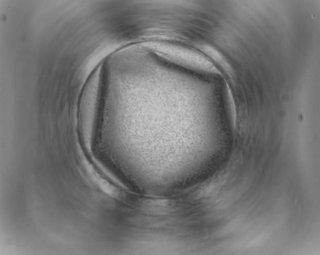 X0000088661431200706081651