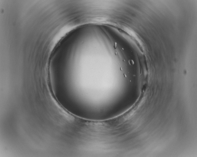 X0000088661432200706081651