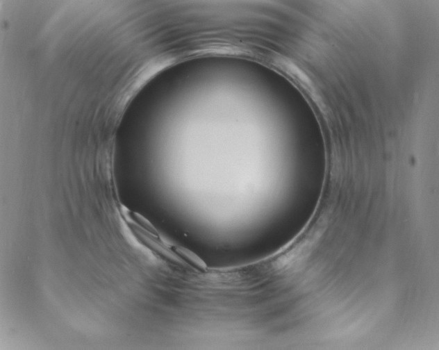 X0000088661433200706081651