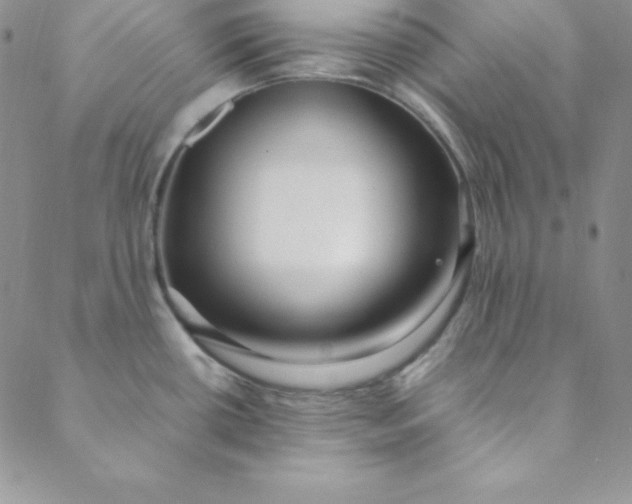 X0000088661434200706081651