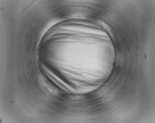 X0000088661435200706081651