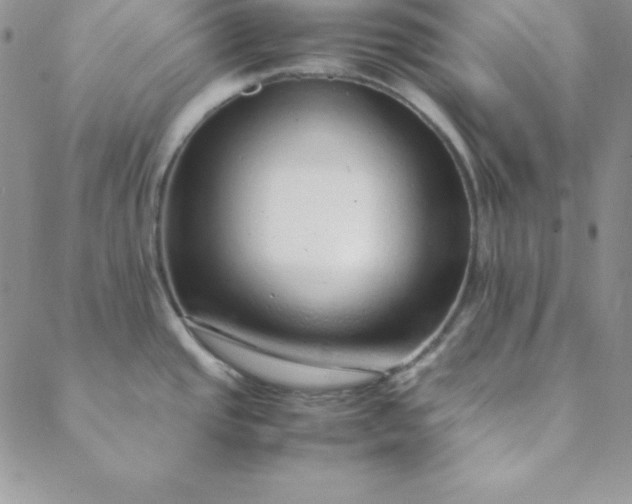 X0000088661437200706081651