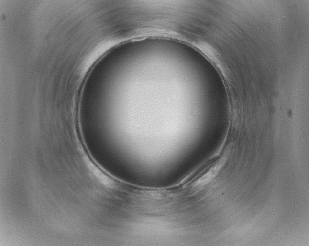 X0000088661438200706081651