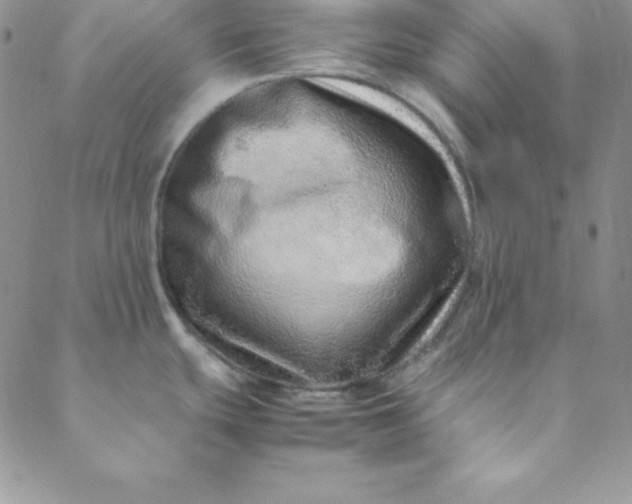 X0000088661439200706081651