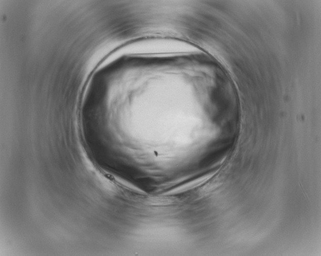 X0000088661440200706081651