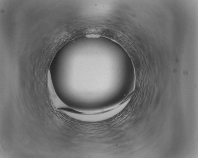 X0000088661441200706081651