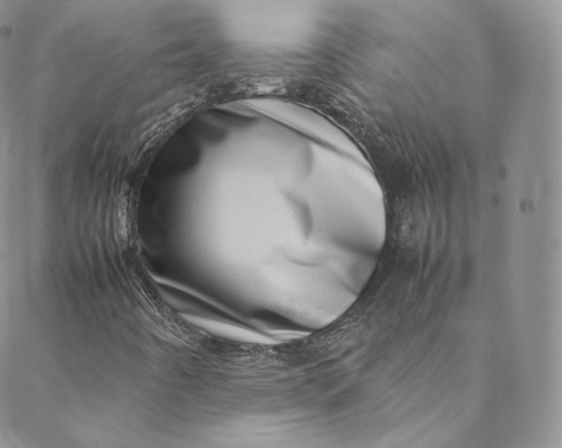 X0000088661442200706081651